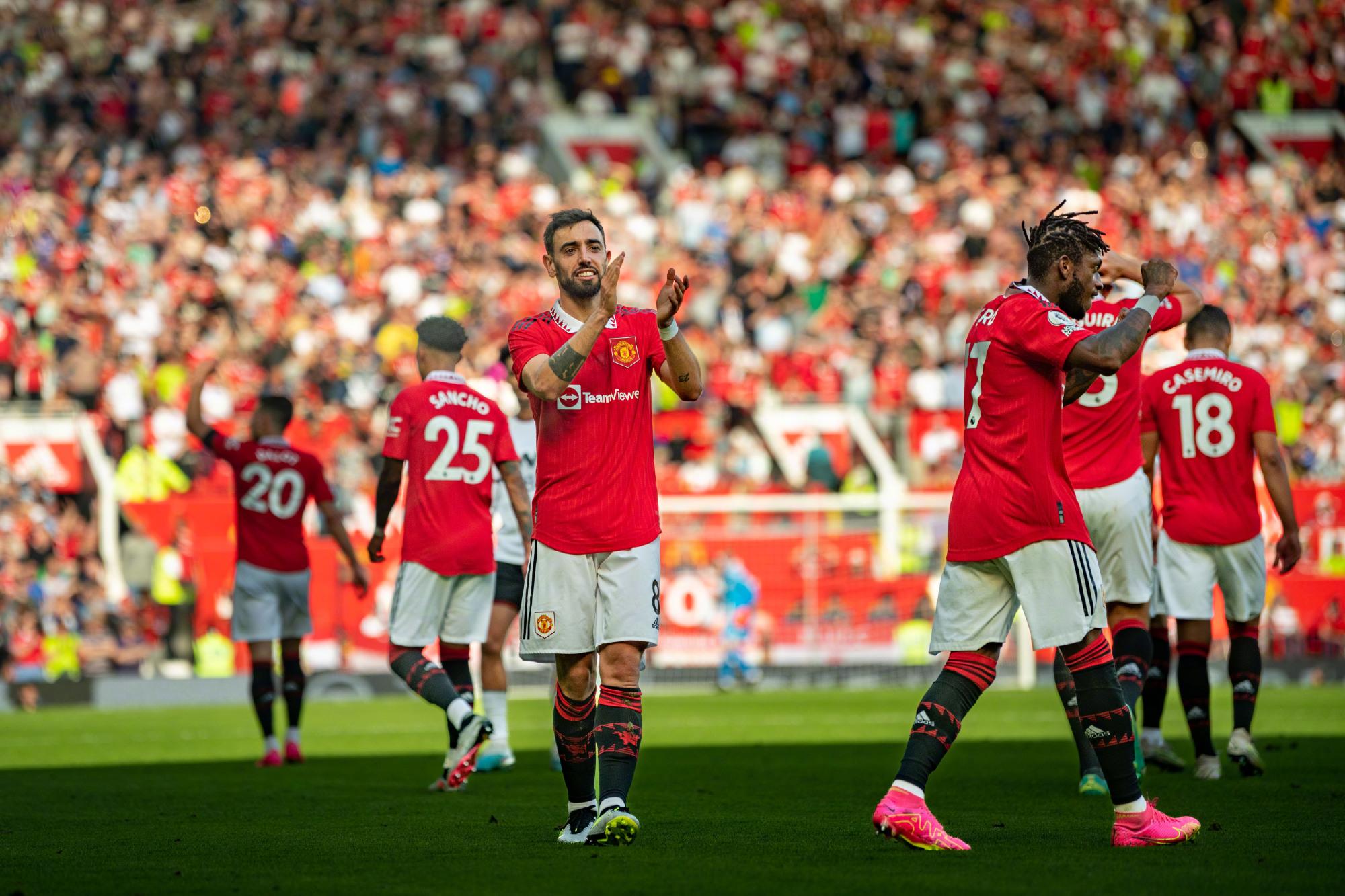 爱好者的眼 爱好者的眼